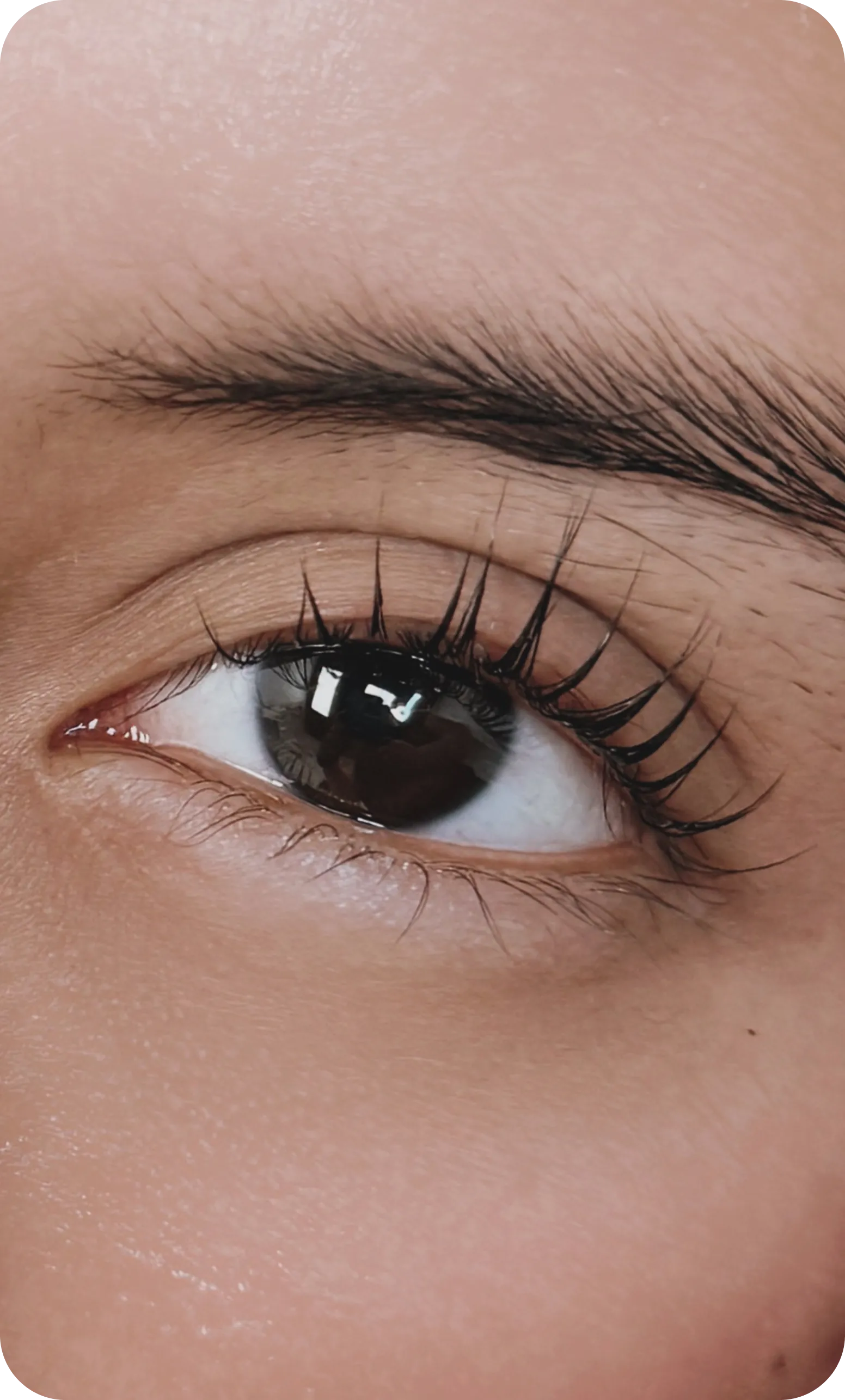 Primer plano de un ojo con las pestañas curvadas tras un lifting.